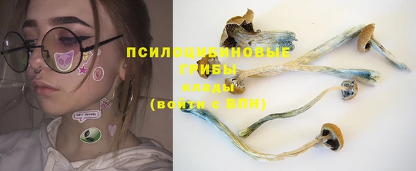 а пвп мука Верхний Тагил