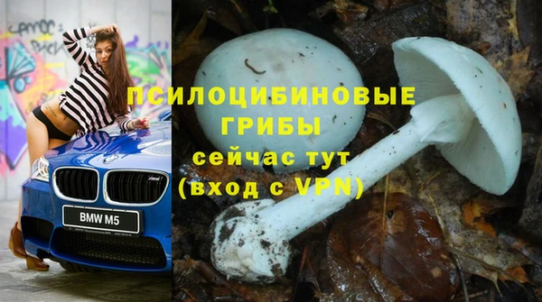 а пвп мука Верхний Тагил